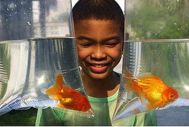 《艾尔登法环》新地点 “Liurnia 之湖” 游戏2月25日发售